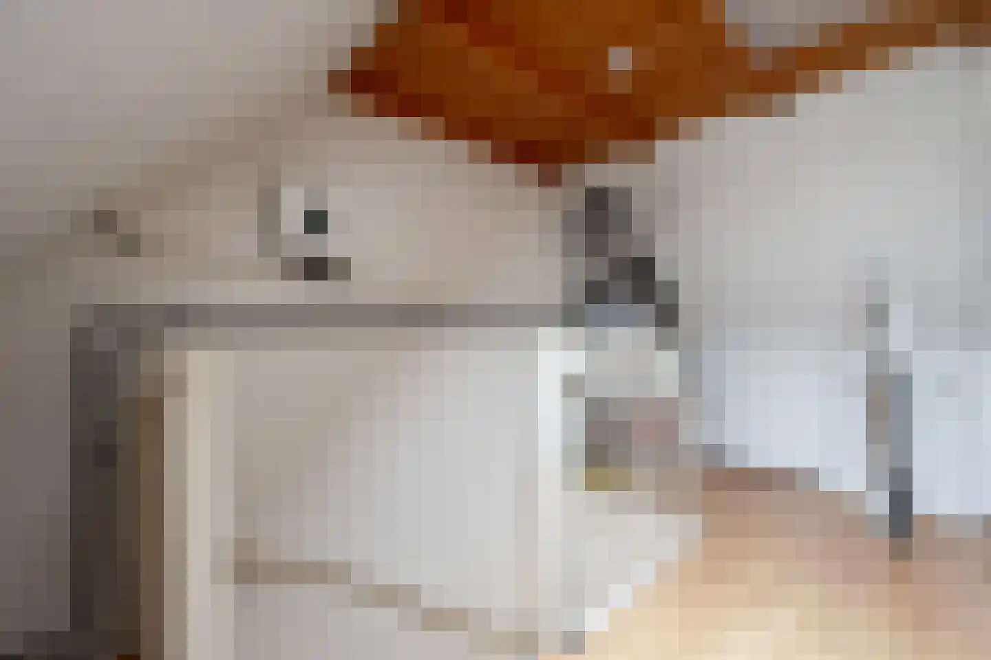 Marie Struijslaan 4 Odijk thumbnail 25