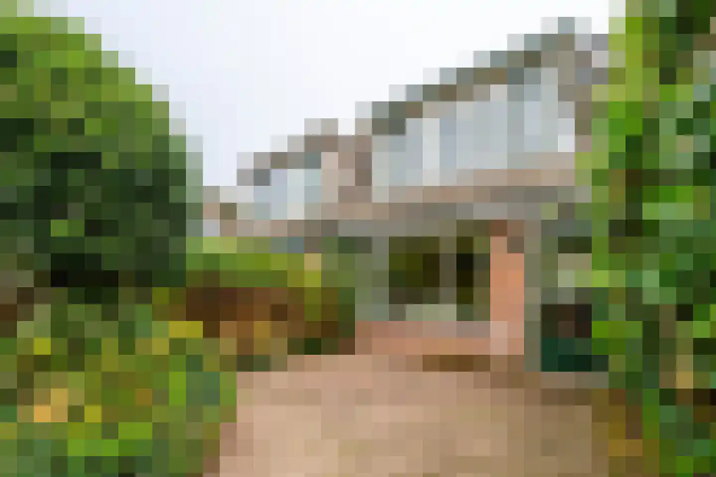 Marie Struijslaan 4 Odijk thumbnail 28