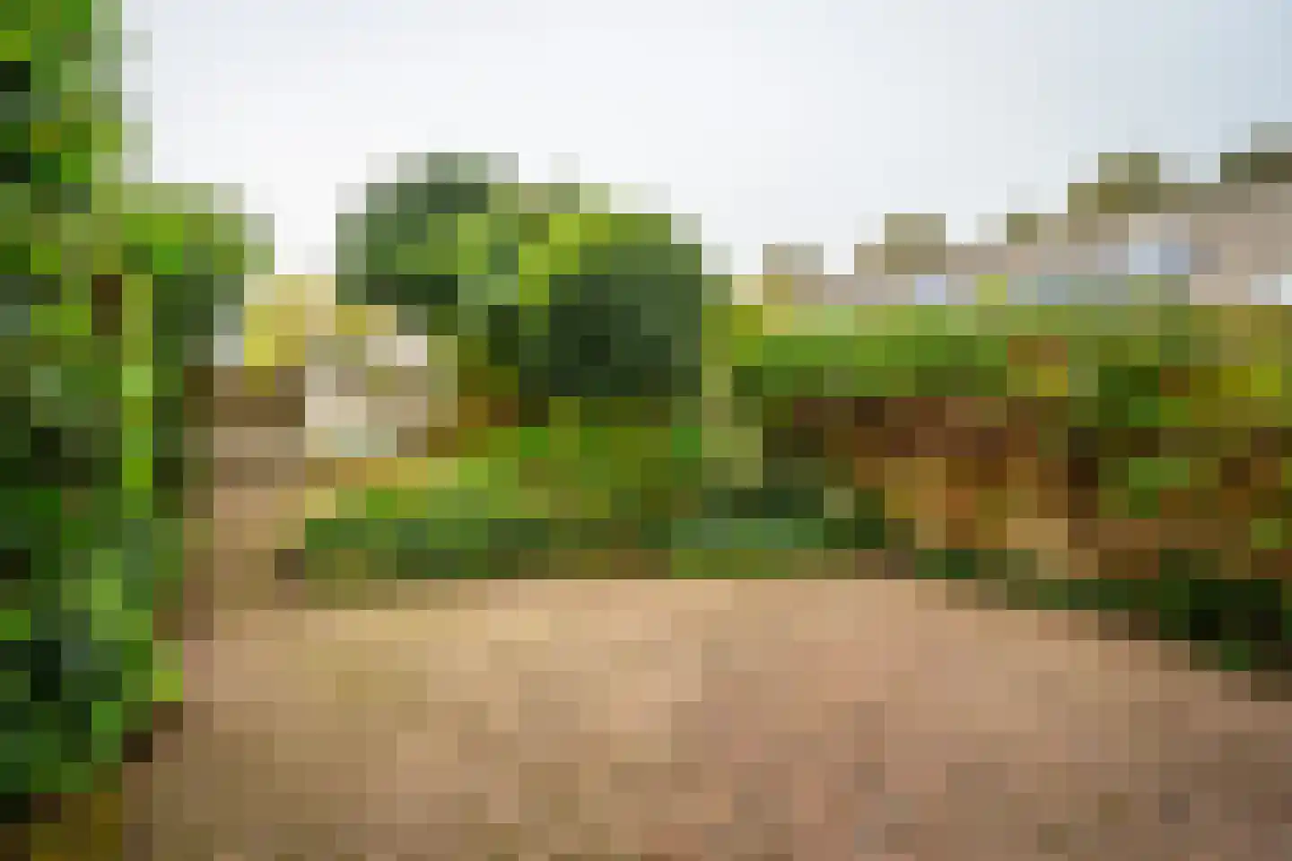 Marie Struijslaan 4 Odijk thumbnail 29