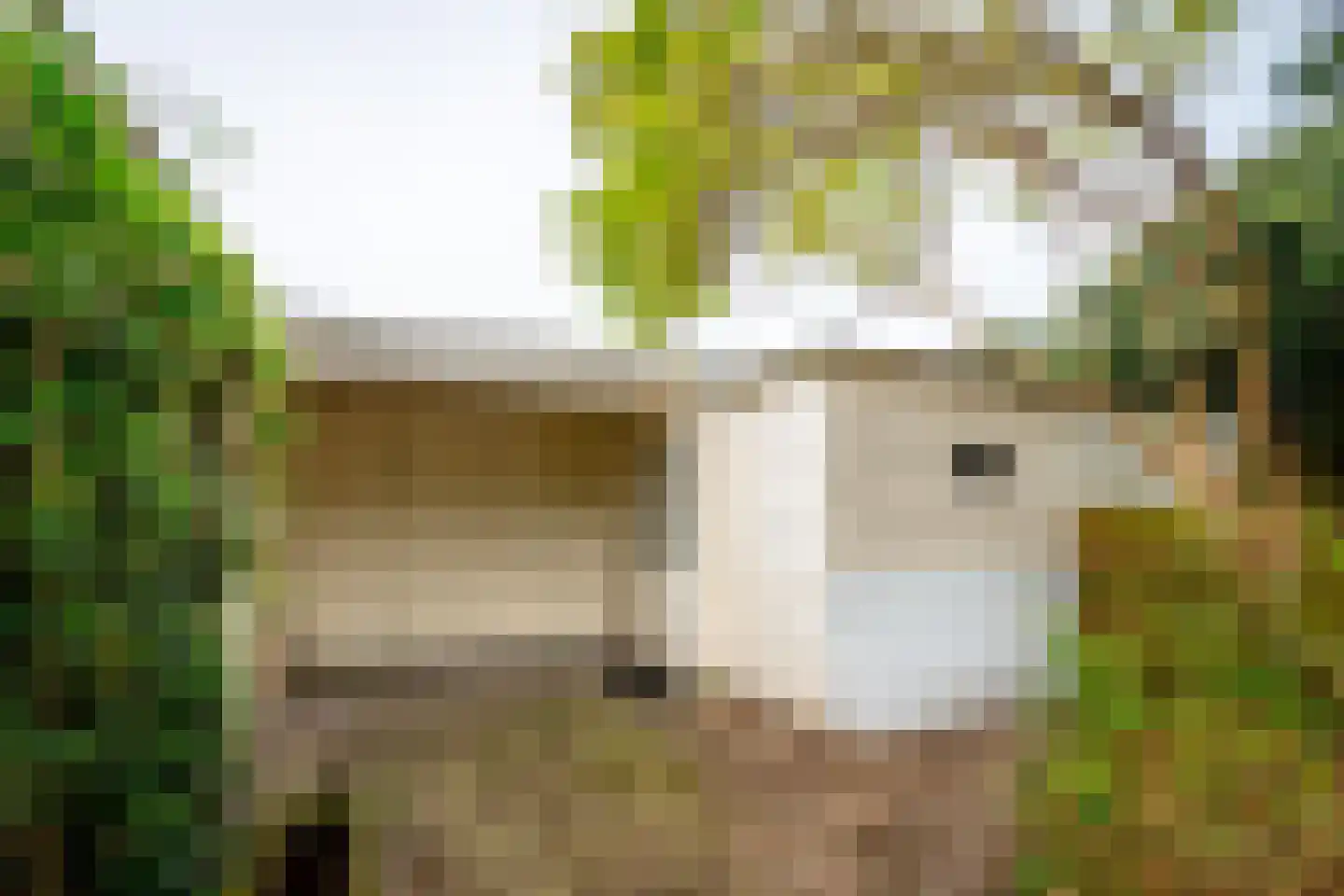 Marie Struijslaan 4 Odijk thumbnail 35