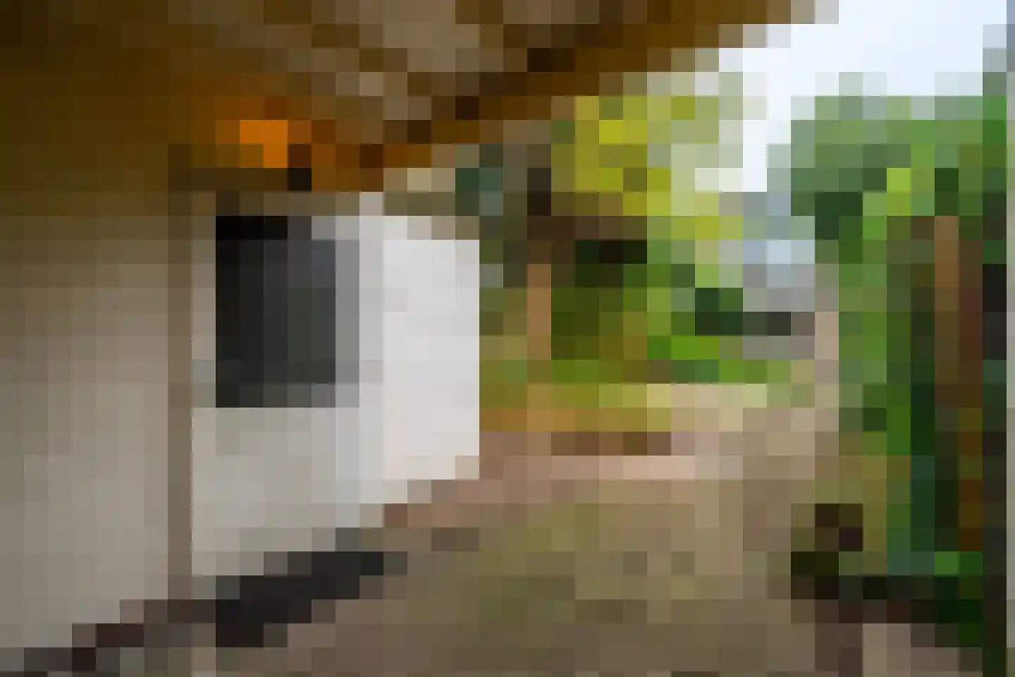 Marie Struijslaan 4 Odijk thumbnail 36