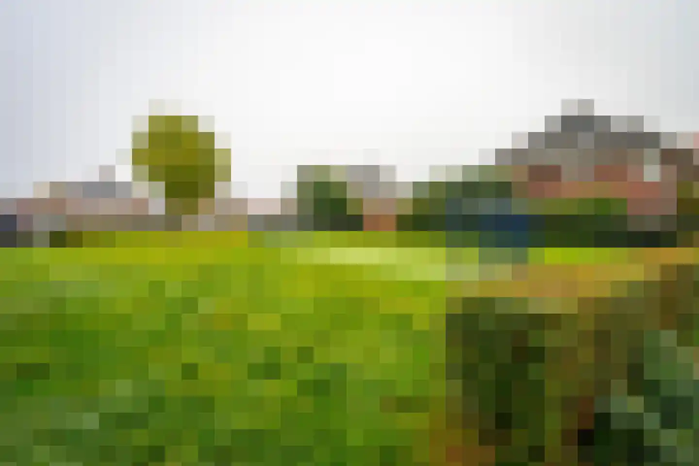 Marie Struijslaan 4 Odijk thumbnail 42