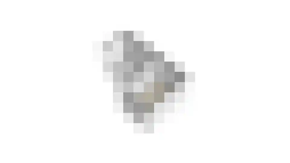 Marie Struijslaan 4 Odijk thumbnail 54