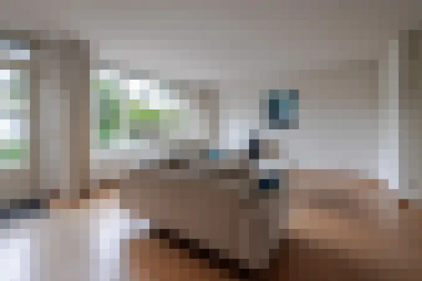 Marie Struijslaan 4 Odijk thumbnail 6