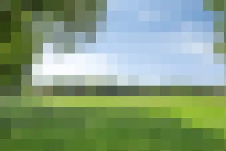 Marie Trompstraat 2 Nuland thumbnail 47