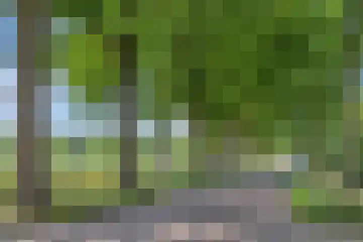 Marie Trompstraat 2 Nuland thumbnail 48