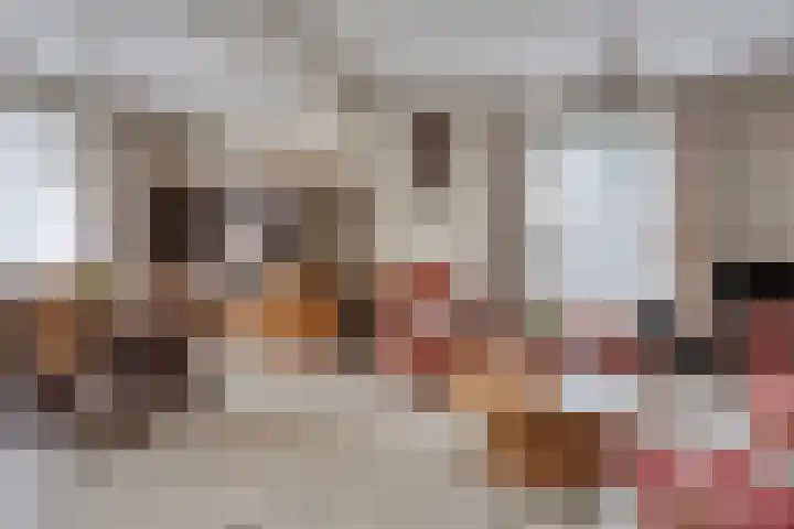 Marie Trompstraat 2 Nuland thumbnail 6