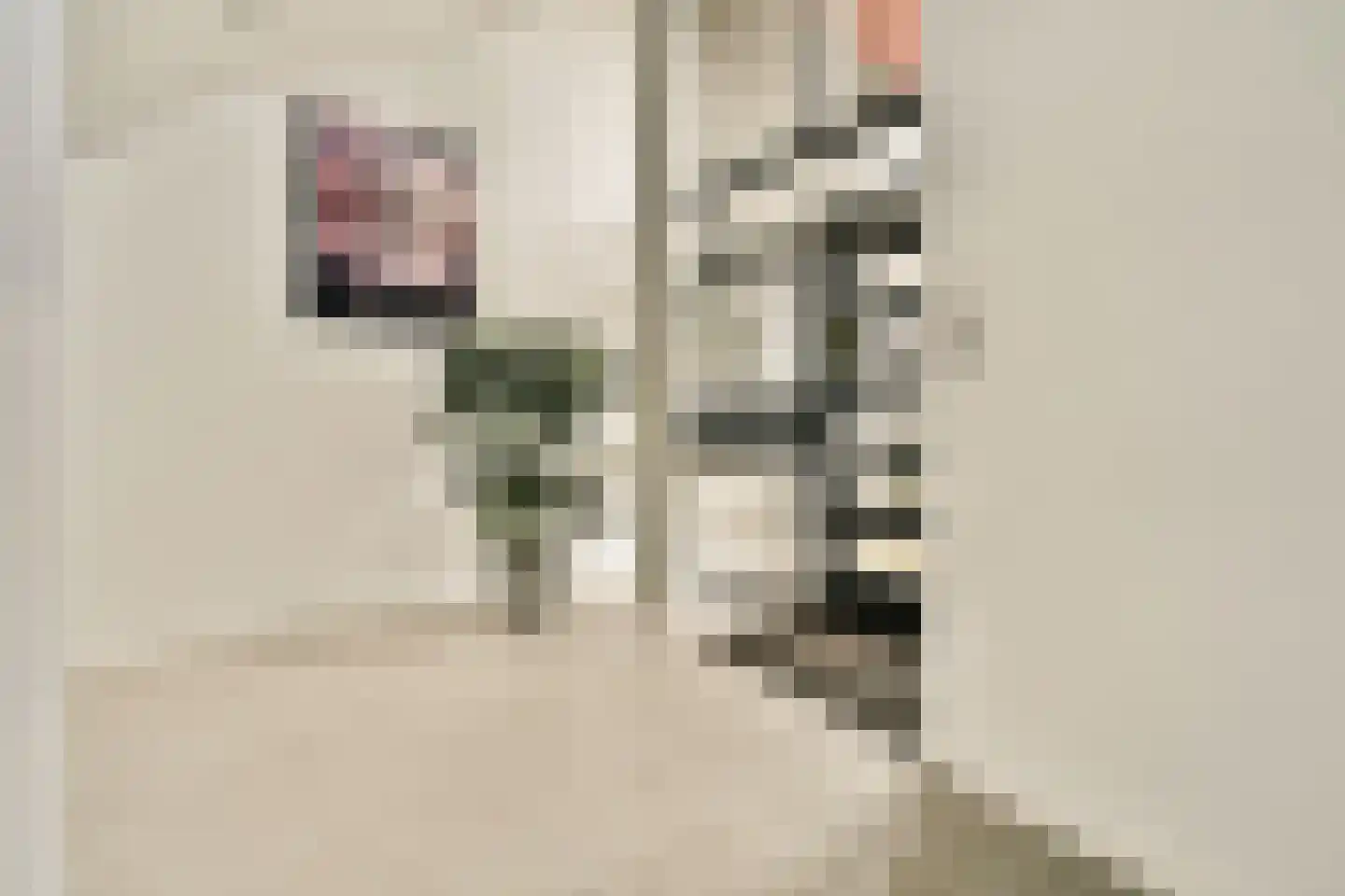 Marie van Eijsden-Vinkstraat 187 Rotterdam thumbnail 10