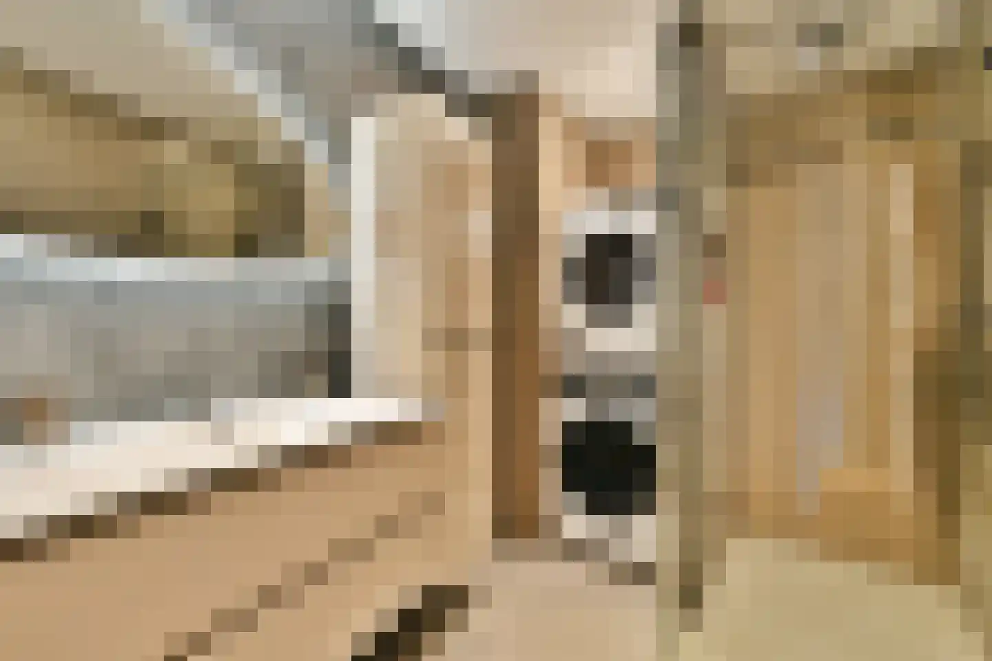Marie van Eijsden-Vinkstraat 187 Rotterdam thumbnail 21