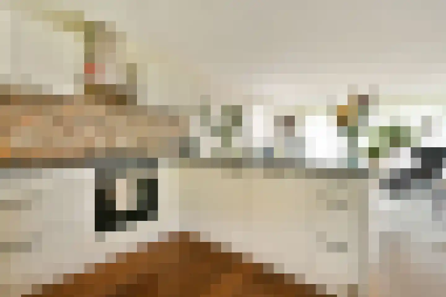 Marie van Eijsden-Vinkstraat 187 Rotterdam thumbnail 4