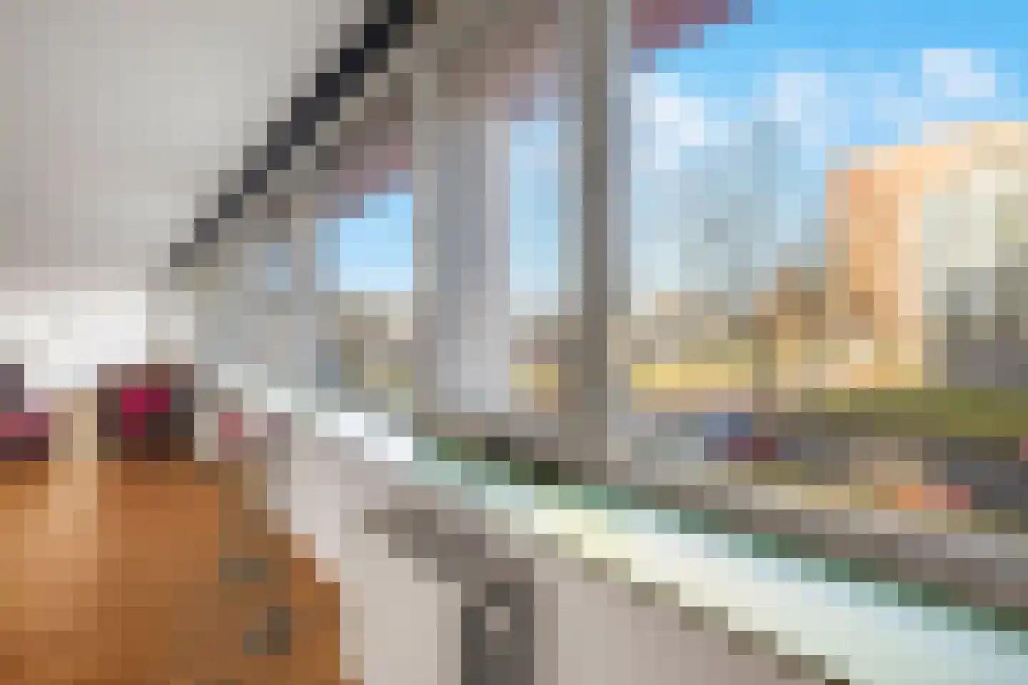 Marie van Eijsden-Vinkstraat 293 Rotterdam thumbnail 36