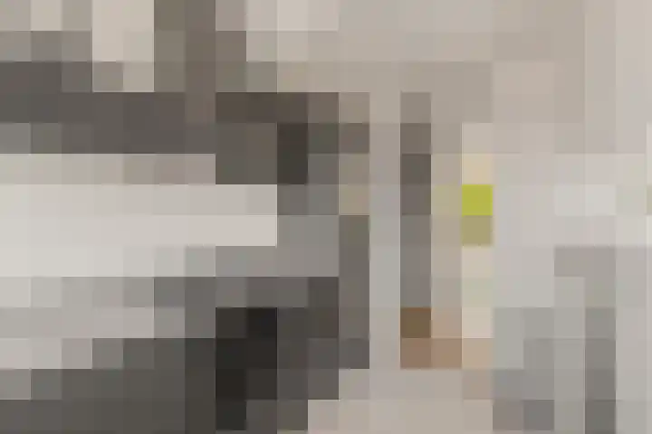 Marie van Eijsden-Vinkstraat 415 Rotterdam thumbnail 27