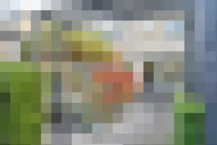 Marie van Regteren Altenastraat 23 Spijkenisse thumbnail 12