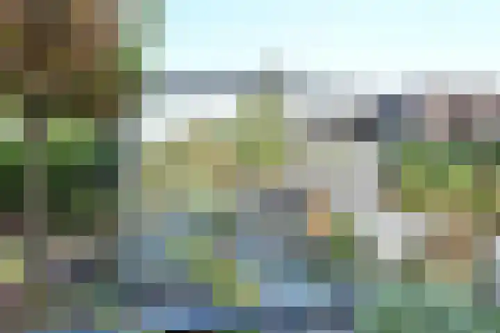 Marie van Regteren Altenastraat 23 Spijkenisse thumbnail 15