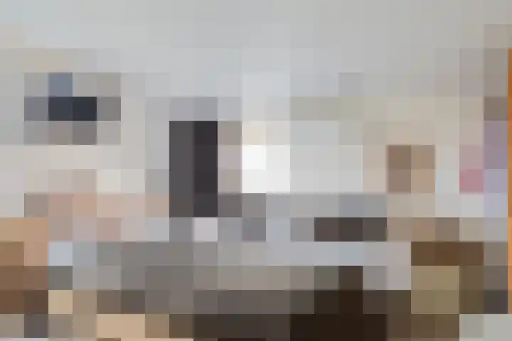 Marie van Regteren Altenastraat 23 Spijkenisse thumbnail 34