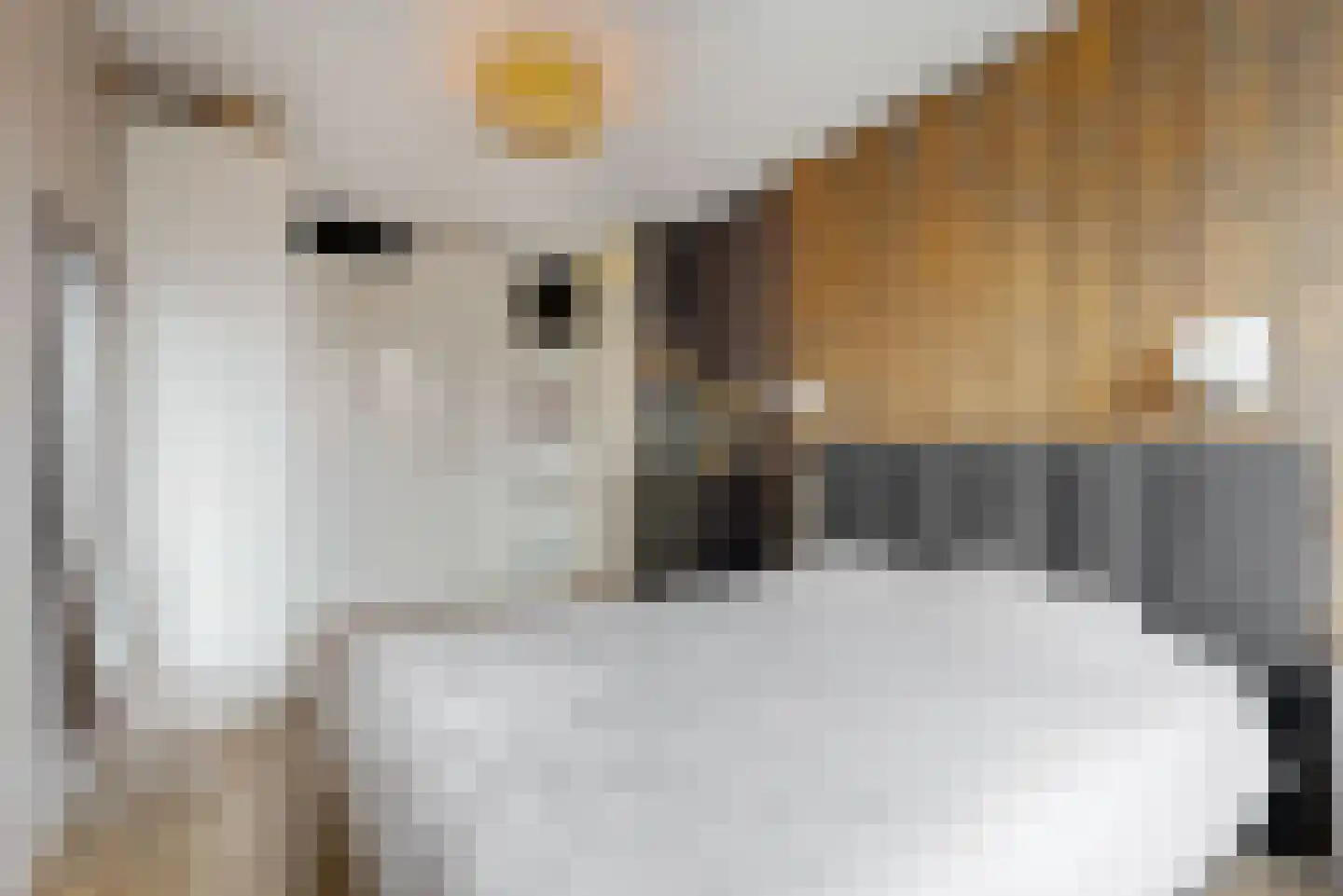 Marie van Zeggelenlaan 22 Beverwijk thumbnail 20