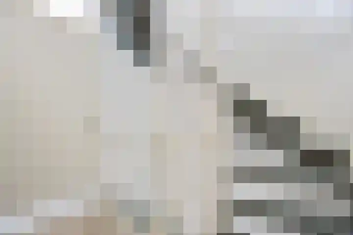 Marie van Zeggelenlaan 5 Beverwijk thumbnail 10