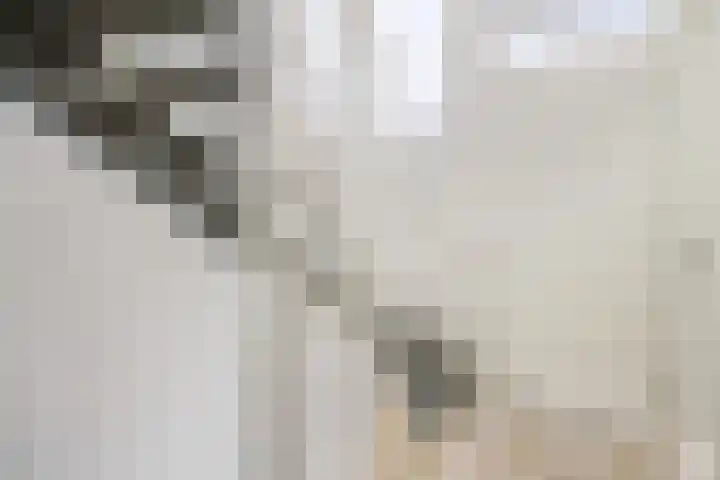 Marie van Zeggelenlaan 5 Beverwijk thumbnail 11
