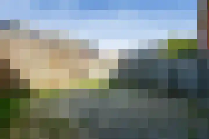 Marie van Zeggelenlaan 5 Beverwijk thumbnail 29