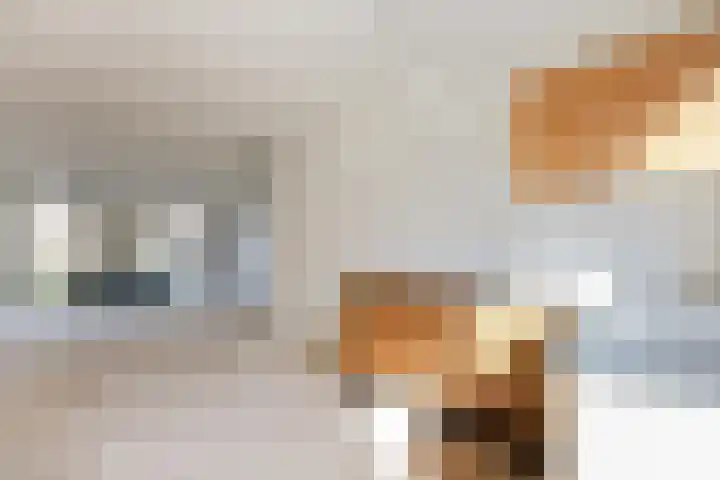 Marie van Zeggelenlaan 5 Beverwijk thumbnail 6