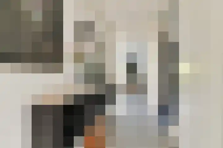 Marie van Zeggelenstraat 17 Spijkenisse thumbnail 10