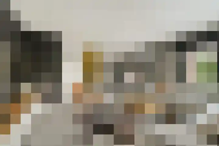Marie van Zeggelenstraat 17 Spijkenisse thumbnail 12