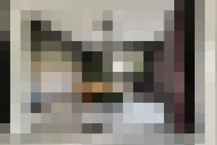 Marie van Zeggelenstraat 17 Spijkenisse thumbnail 13