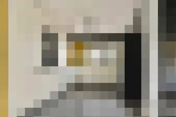 Marie van Zeggelenstraat 17 Spijkenisse thumbnail 14