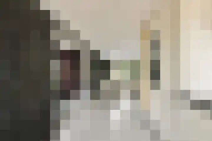 Marie van Zeggelenstraat 17 Spijkenisse thumbnail 15