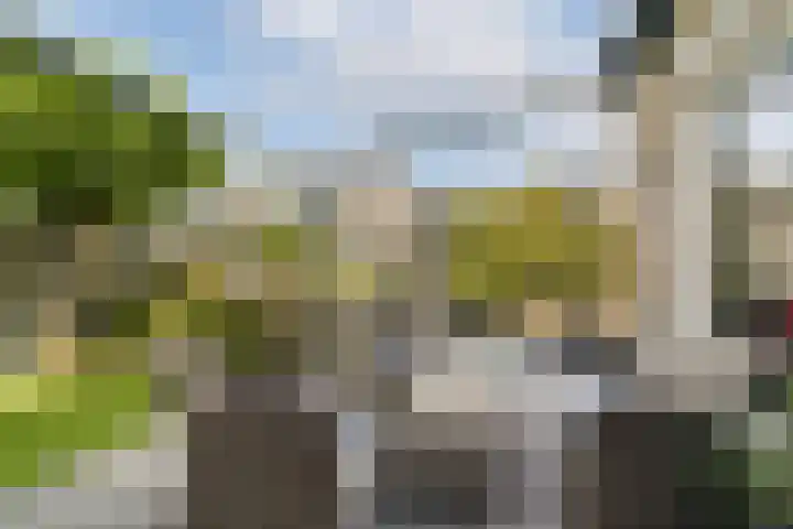Marie van Zeggelenstraat 17 Spijkenisse thumbnail 16