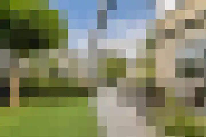 Marie van Zeggelenstraat 17 Spijkenisse thumbnail 18