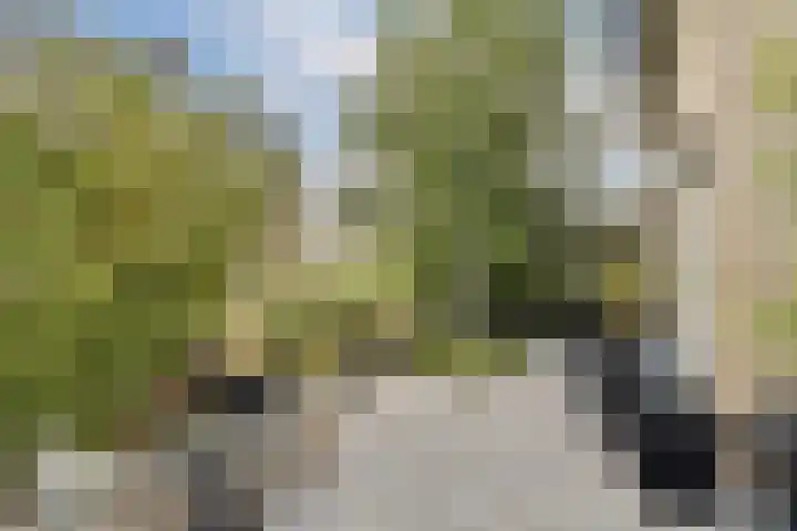 Marie van Zeggelenstraat 17 Spijkenisse thumbnail 19