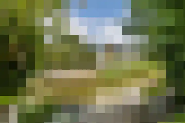 Marie van Zeggelenstraat 17 Spijkenisse thumbnail 20