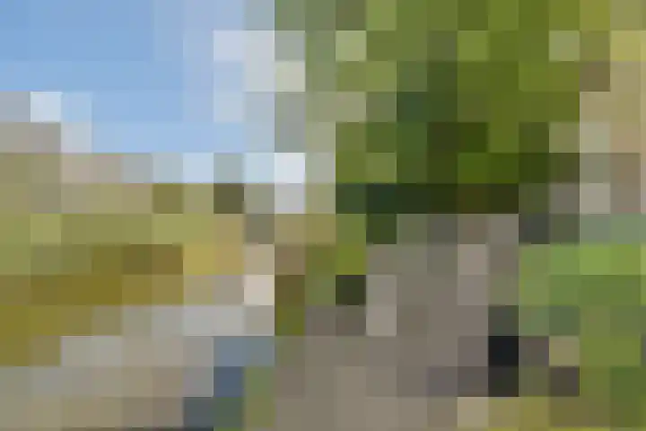 Marie van Zeggelenstraat 17 Spijkenisse thumbnail 21