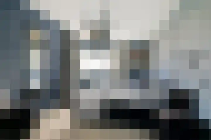 Marie van Zeggelenstraat 17 Spijkenisse thumbnail 26