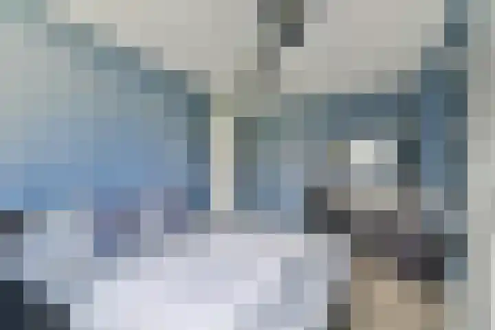 Marie van Zeggelenstraat 17 Spijkenisse thumbnail 27