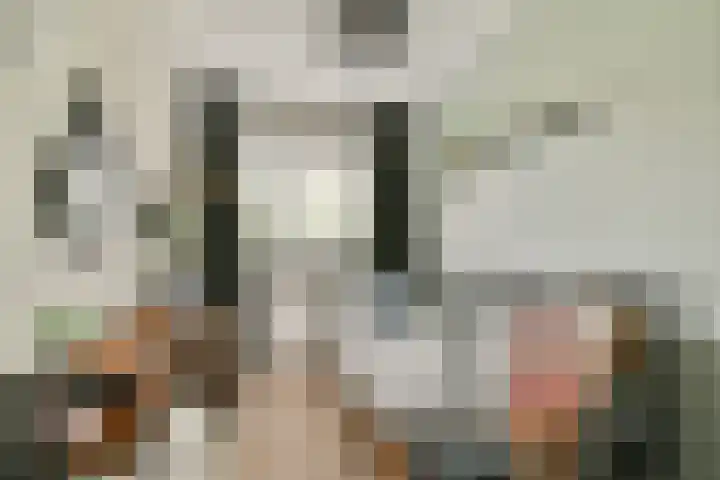 Marie van Zeggelenstraat 17 Spijkenisse thumbnail 29