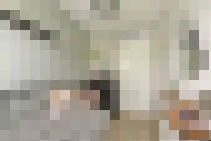 Marie van Zeggelenstraat 17 Spijkenisse thumbnail 30