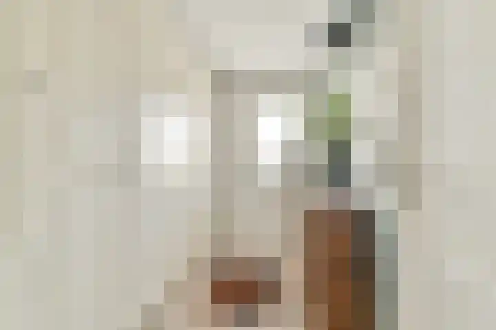 Marie van Zeggelenstraat 17 Spijkenisse thumbnail 31