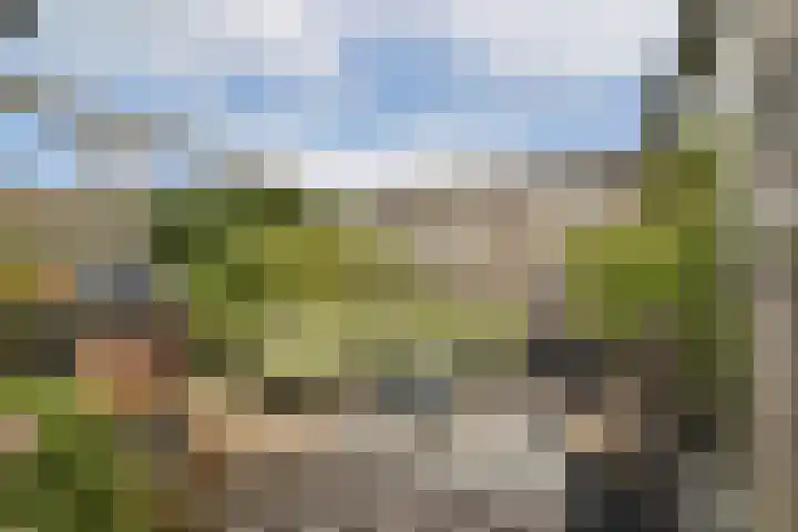 Marie van Zeggelenstraat 17 Spijkenisse thumbnail 5
