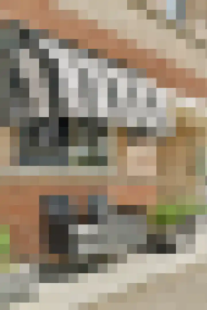 Marie van Zeggelenstraat 17 Spijkenisse thumbnail 8