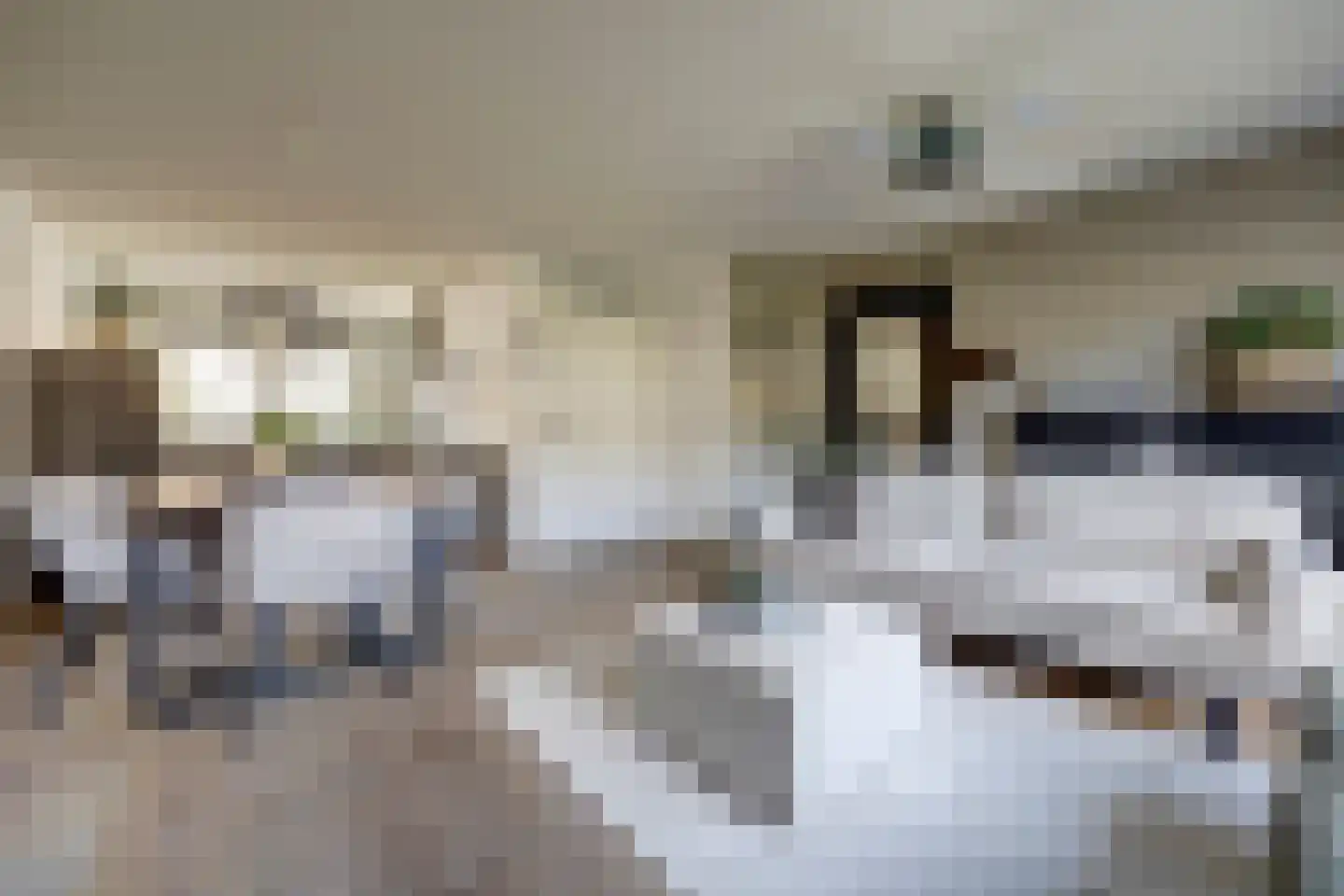 Marie van Zeggelenstraat 39 Spijkenisse thumbnail 11