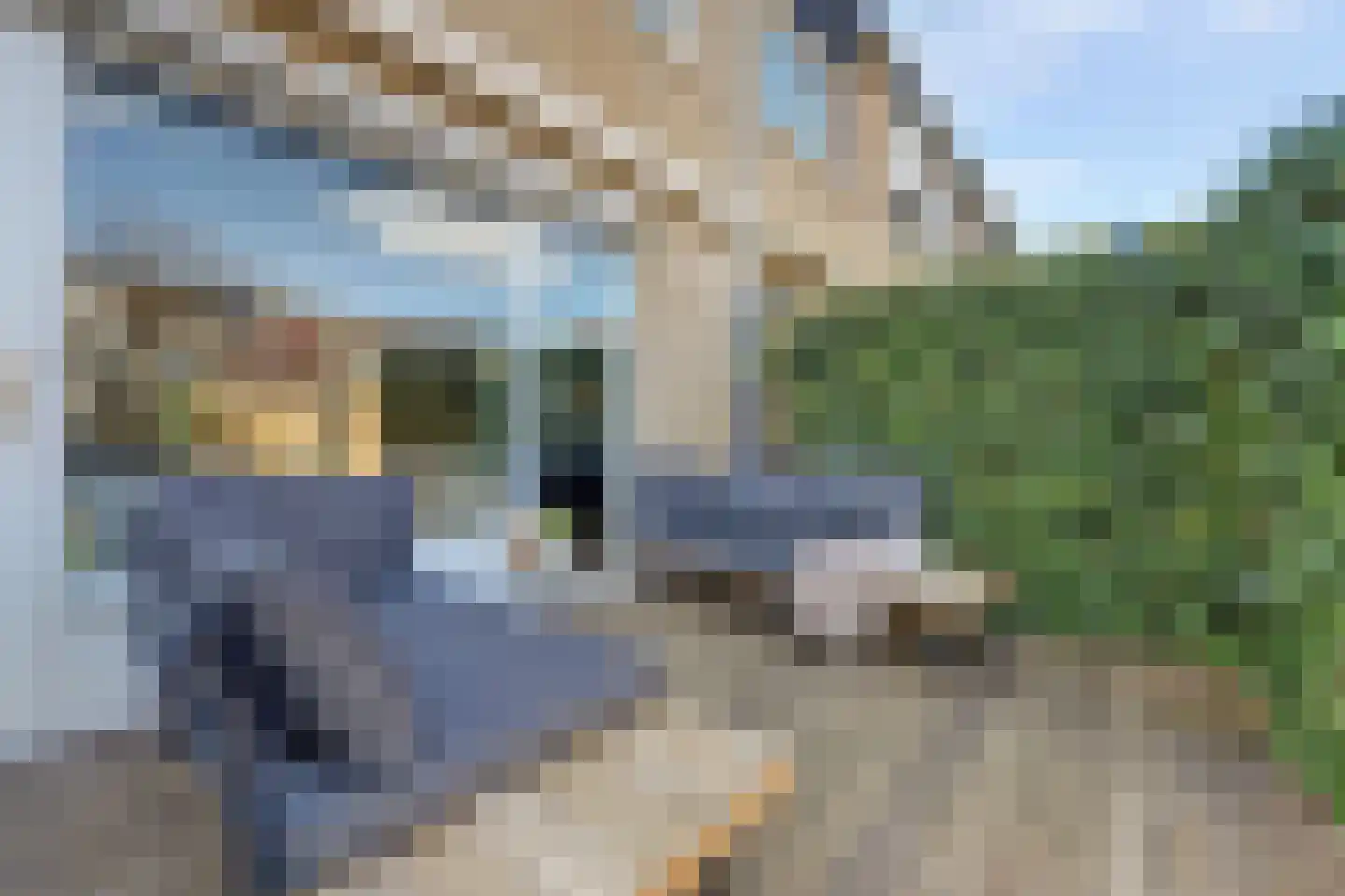 Marie van Zeggelenstraat 39 Spijkenisse thumbnail 15