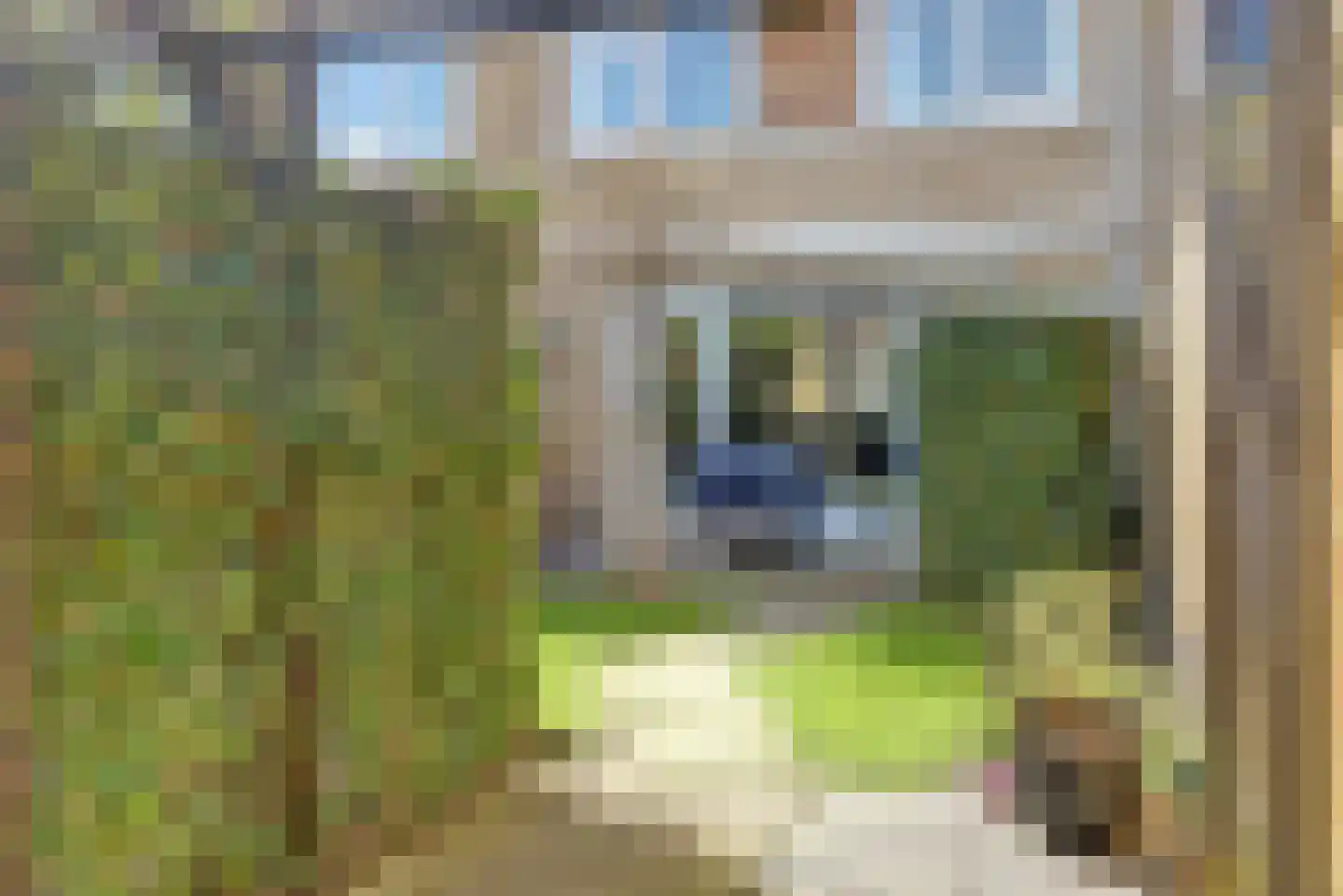 Marie van Zeggelenstraat 39 Spijkenisse thumbnail 16