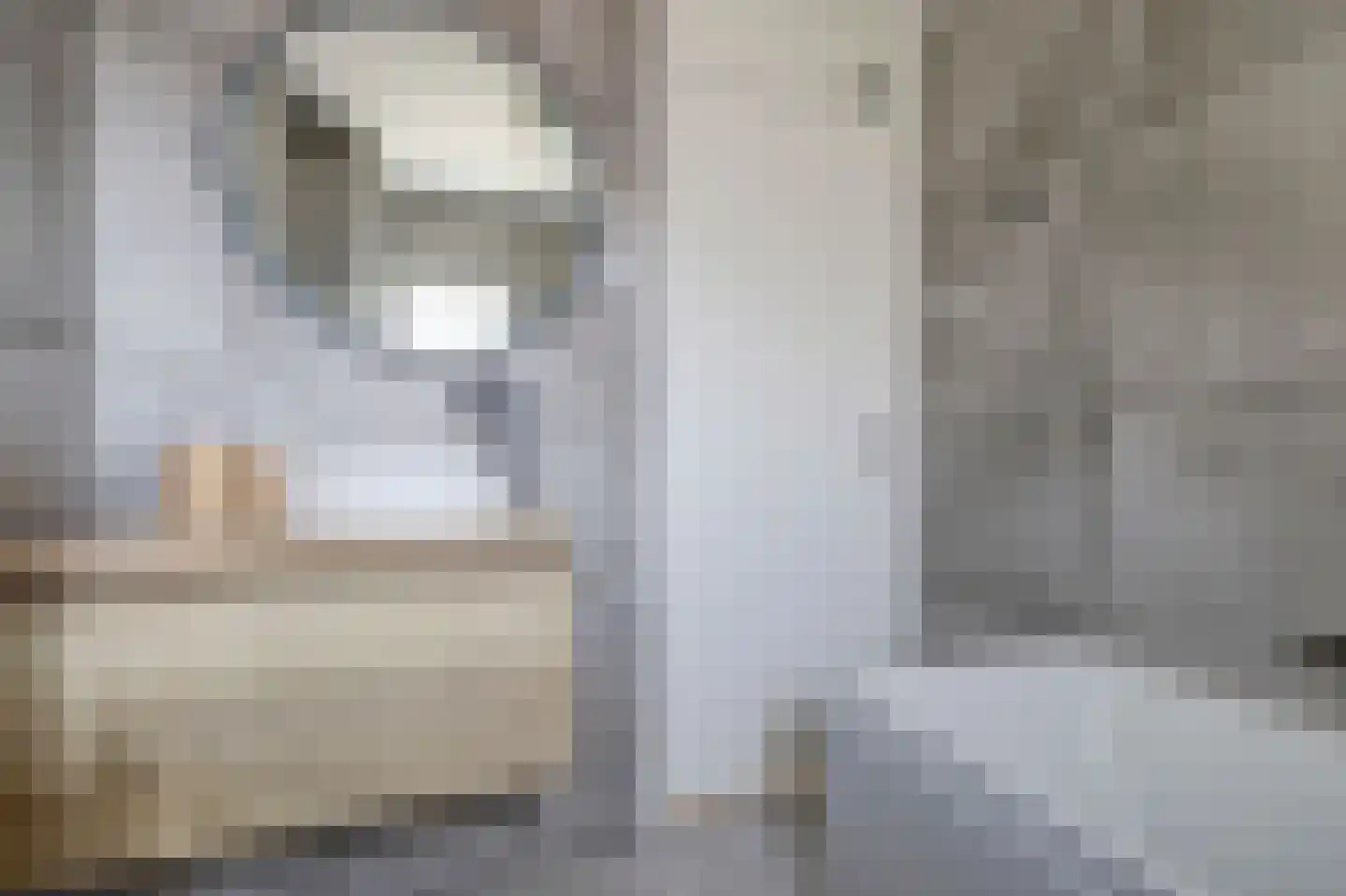 Marie van Zeggelenstraat 39 Spijkenisse thumbnail 24