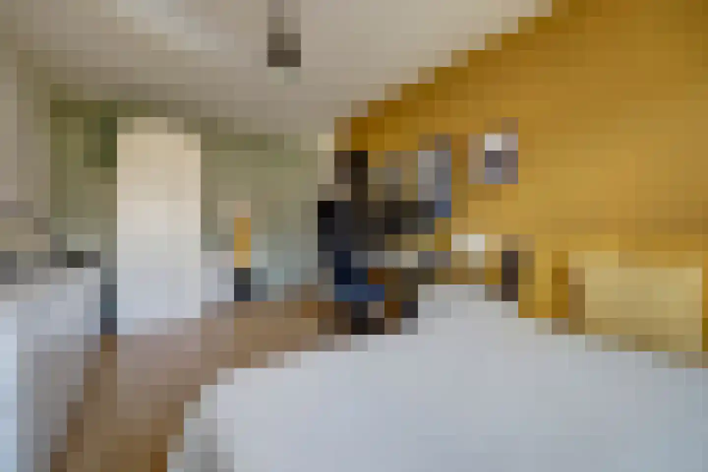 Marie van Zeggelenstraat 39 Spijkenisse thumbnail 30