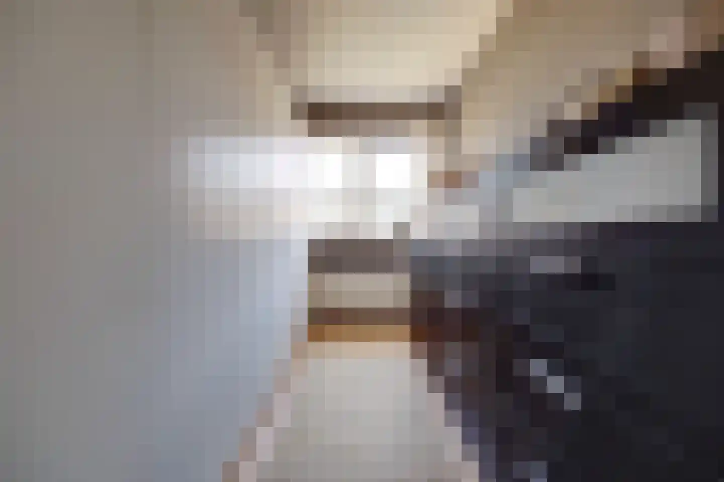 Marie van Zeggelenstraat 39 Spijkenisse thumbnail 33