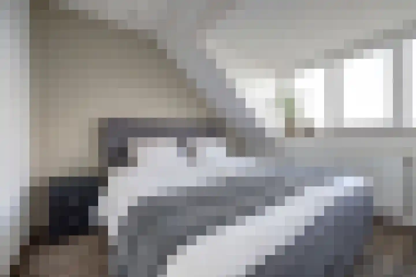 Marie van Zeggelenstraat 39 Spijkenisse thumbnail 36
