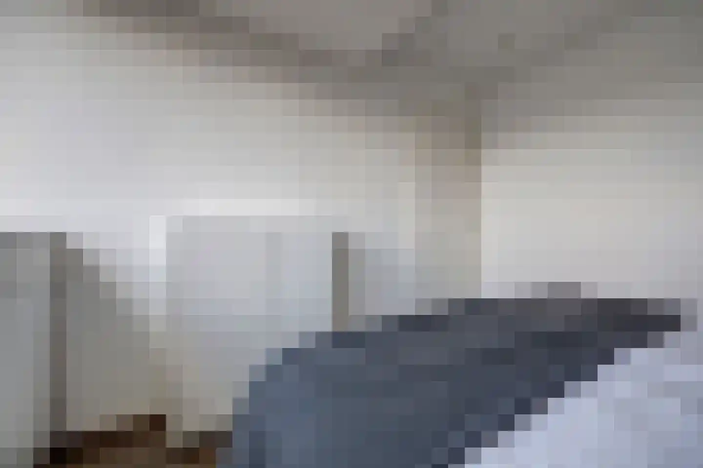 Marie van Zeggelenstraat 39 Spijkenisse thumbnail 37