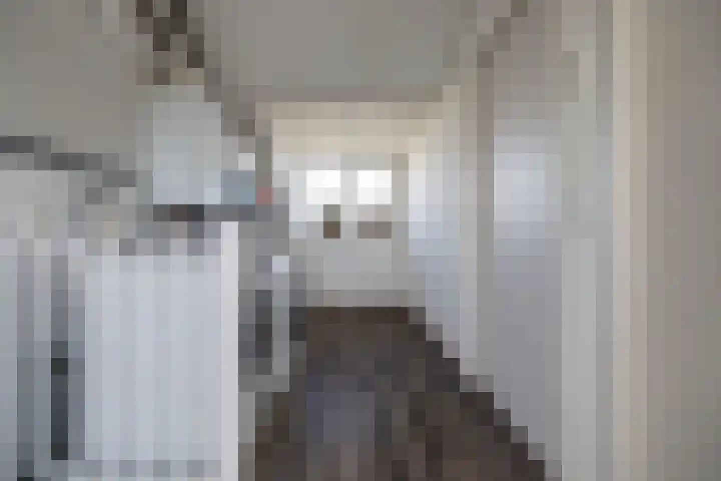 Marie van Zeggelenstraat 39 Spijkenisse thumbnail 40